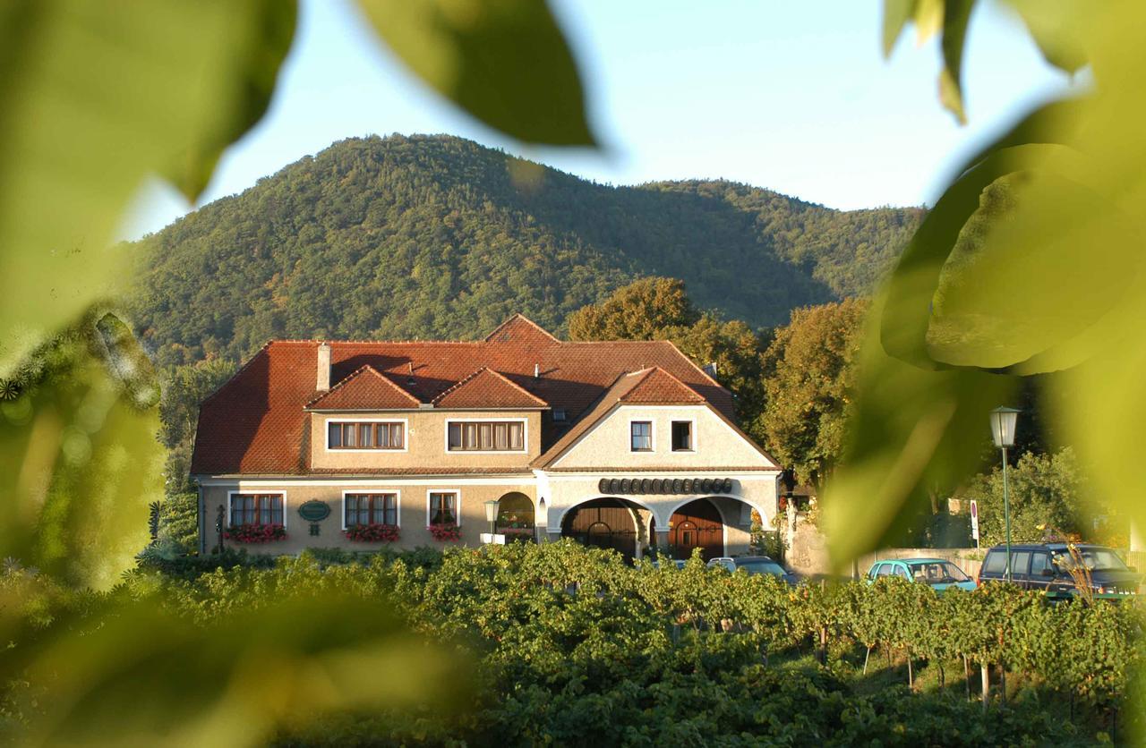Weingut-Pension Stockingerhof Dürnstein Zewnętrze zdjęcie